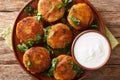 Tasty Aloo TikkiÃÂ is a popular Indian street food which is basically crispy and spicy potato patty with yogurt close-up on the Royalty Free Stock Photo